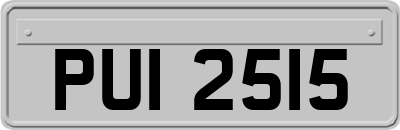 PUI2515