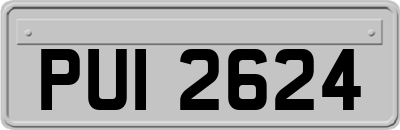 PUI2624