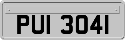 PUI3041