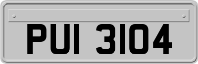 PUI3104