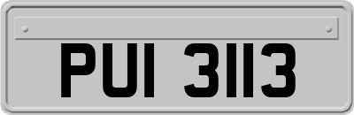 PUI3113