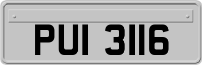 PUI3116