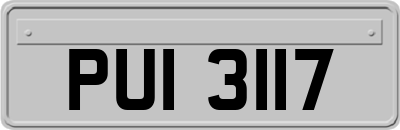 PUI3117