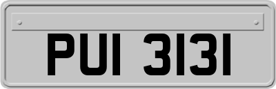 PUI3131