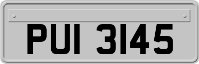 PUI3145