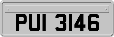 PUI3146