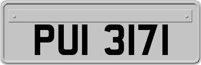 PUI3171