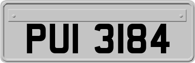 PUI3184