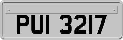PUI3217