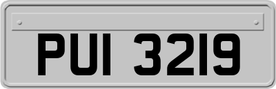 PUI3219