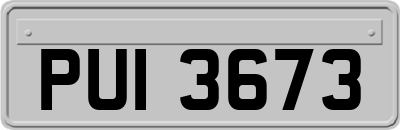 PUI3673