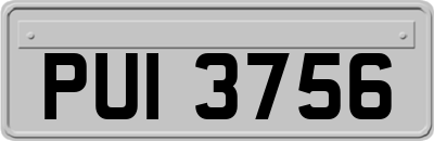 PUI3756