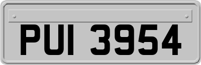 PUI3954