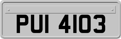 PUI4103