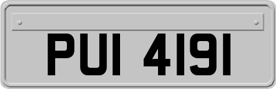 PUI4191