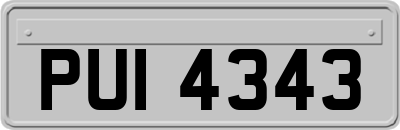 PUI4343