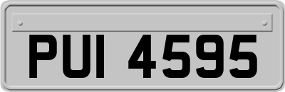 PUI4595