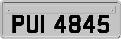 PUI4845
