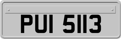 PUI5113