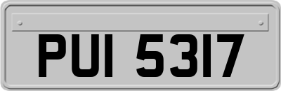 PUI5317