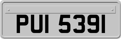 PUI5391