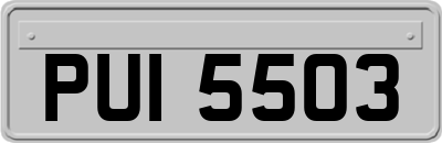 PUI5503