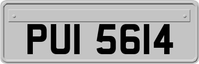 PUI5614