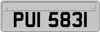 PUI5831