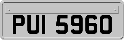 PUI5960