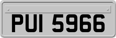 PUI5966