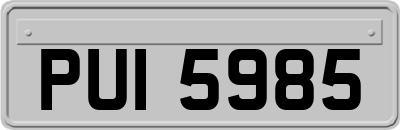 PUI5985