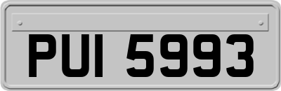PUI5993