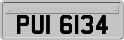 PUI6134