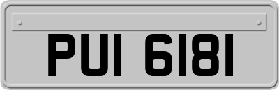 PUI6181