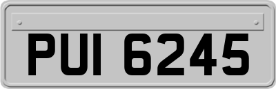 PUI6245