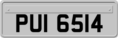 PUI6514
