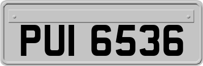 PUI6536