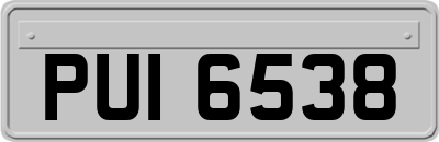 PUI6538
