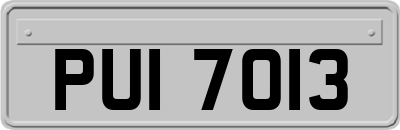 PUI7013