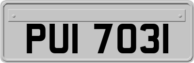 PUI7031