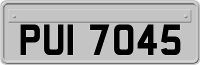PUI7045