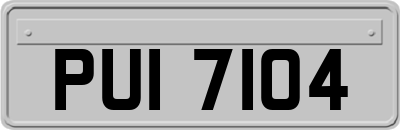 PUI7104
