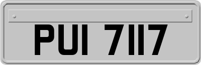 PUI7117