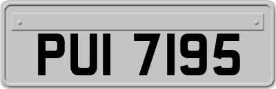 PUI7195