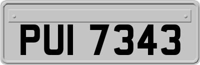 PUI7343