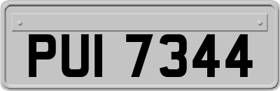 PUI7344