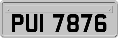 PUI7876