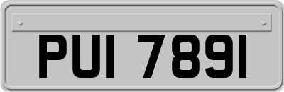 PUI7891