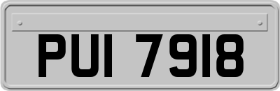 PUI7918