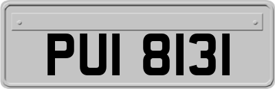 PUI8131